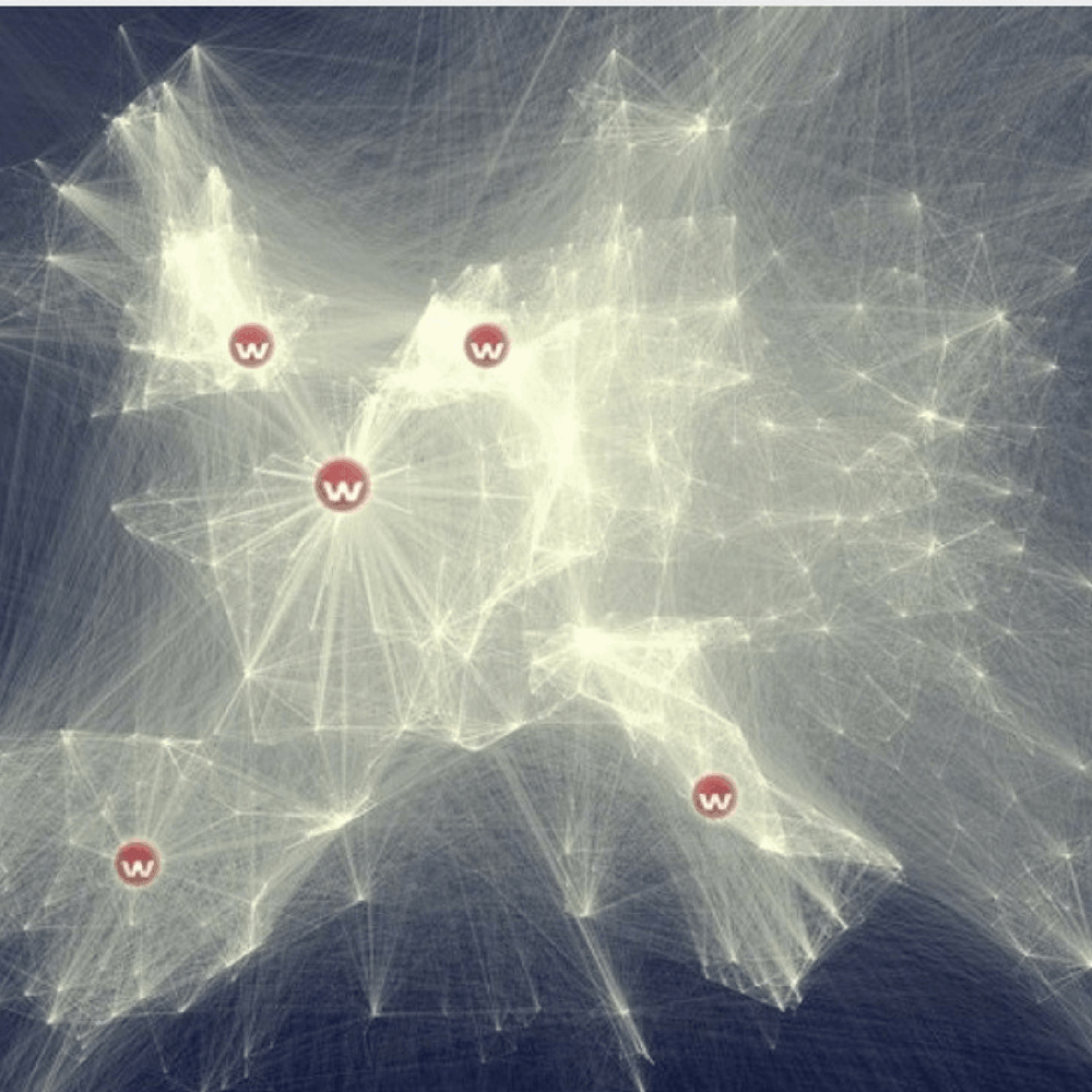 BigFish - ontdek verborgen trends met een diepe duik in data